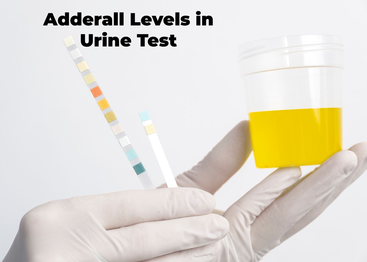 Adderall Levels in Urine Test