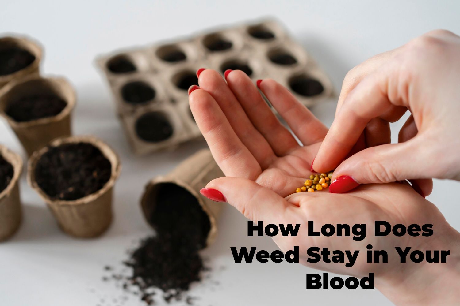 How Long Does Weed Stay in Your Blood