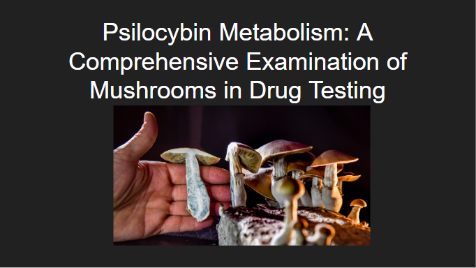 Psilocybin Metabolism: A Comprehensive Examination of Mushrooms in Drug Testing